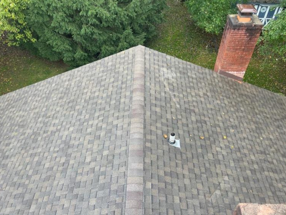 Roof Inspection